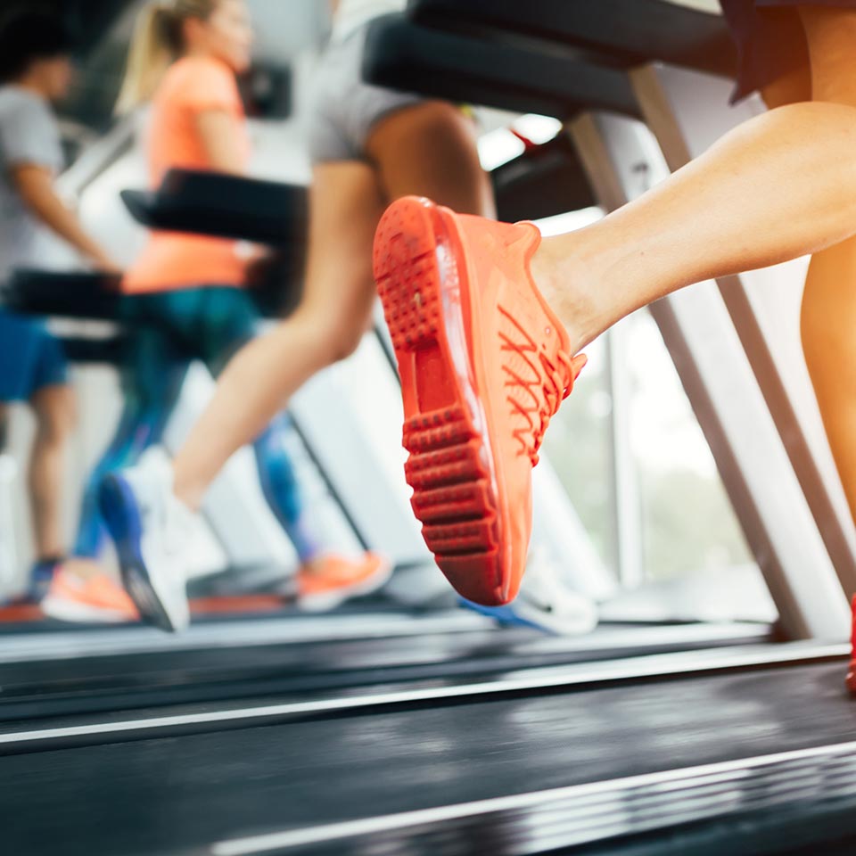 Une salle cardio-training / musculation Une salle cardio-training / musculation